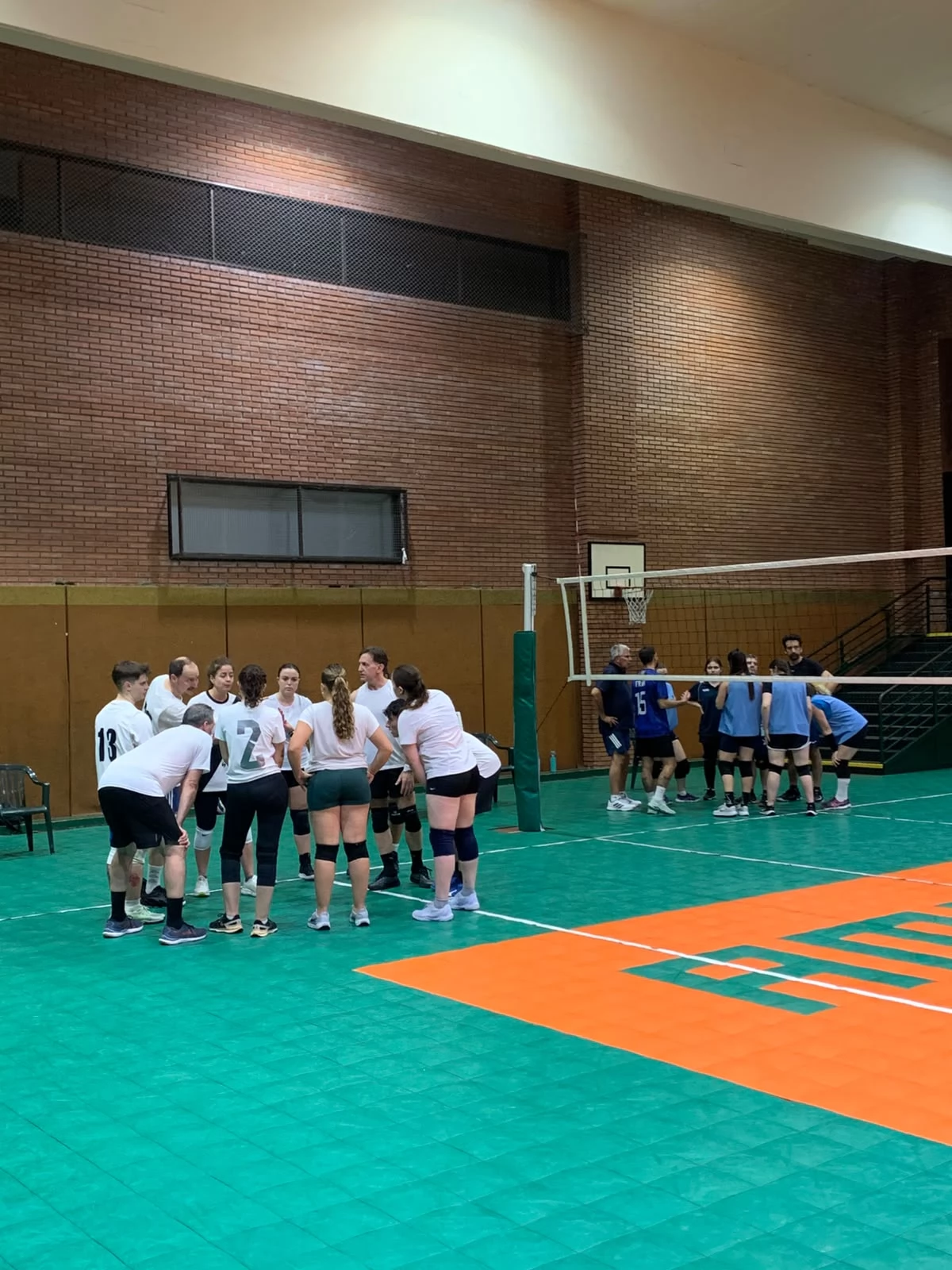 Voley