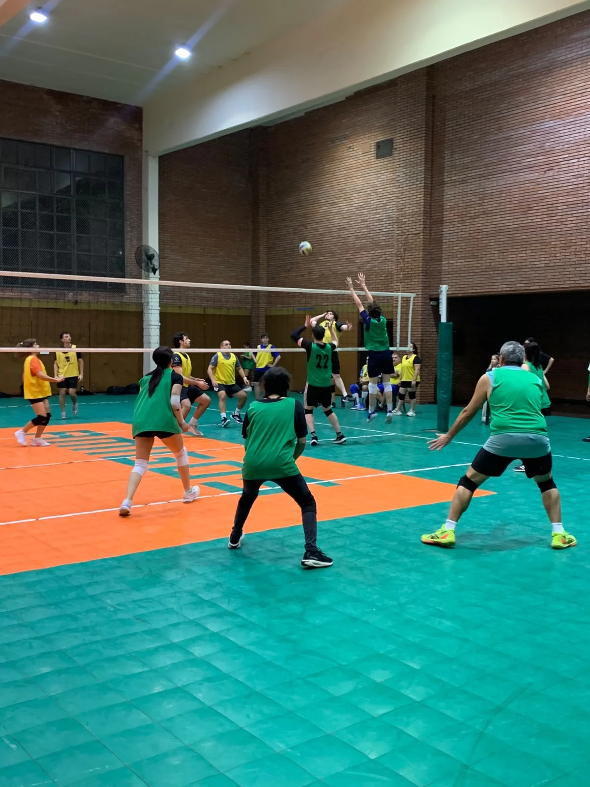 Voley