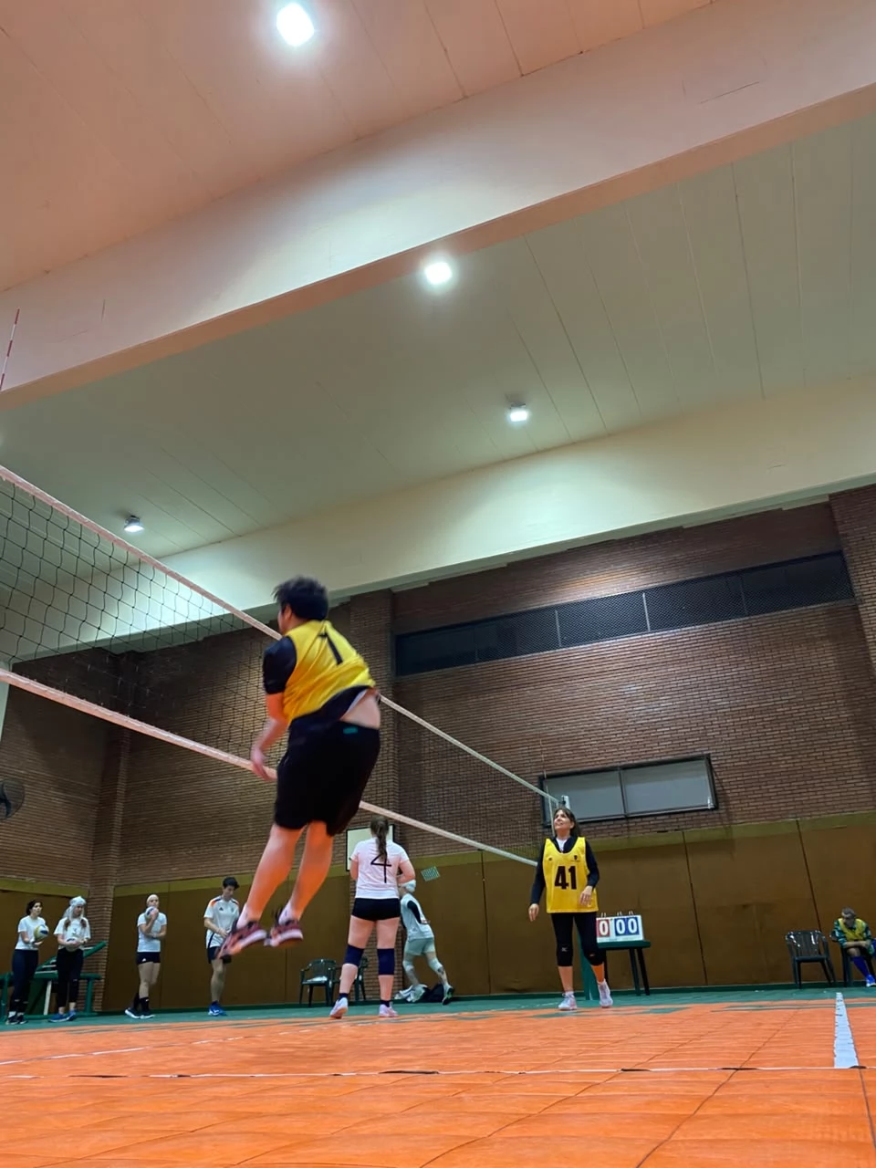 Voley