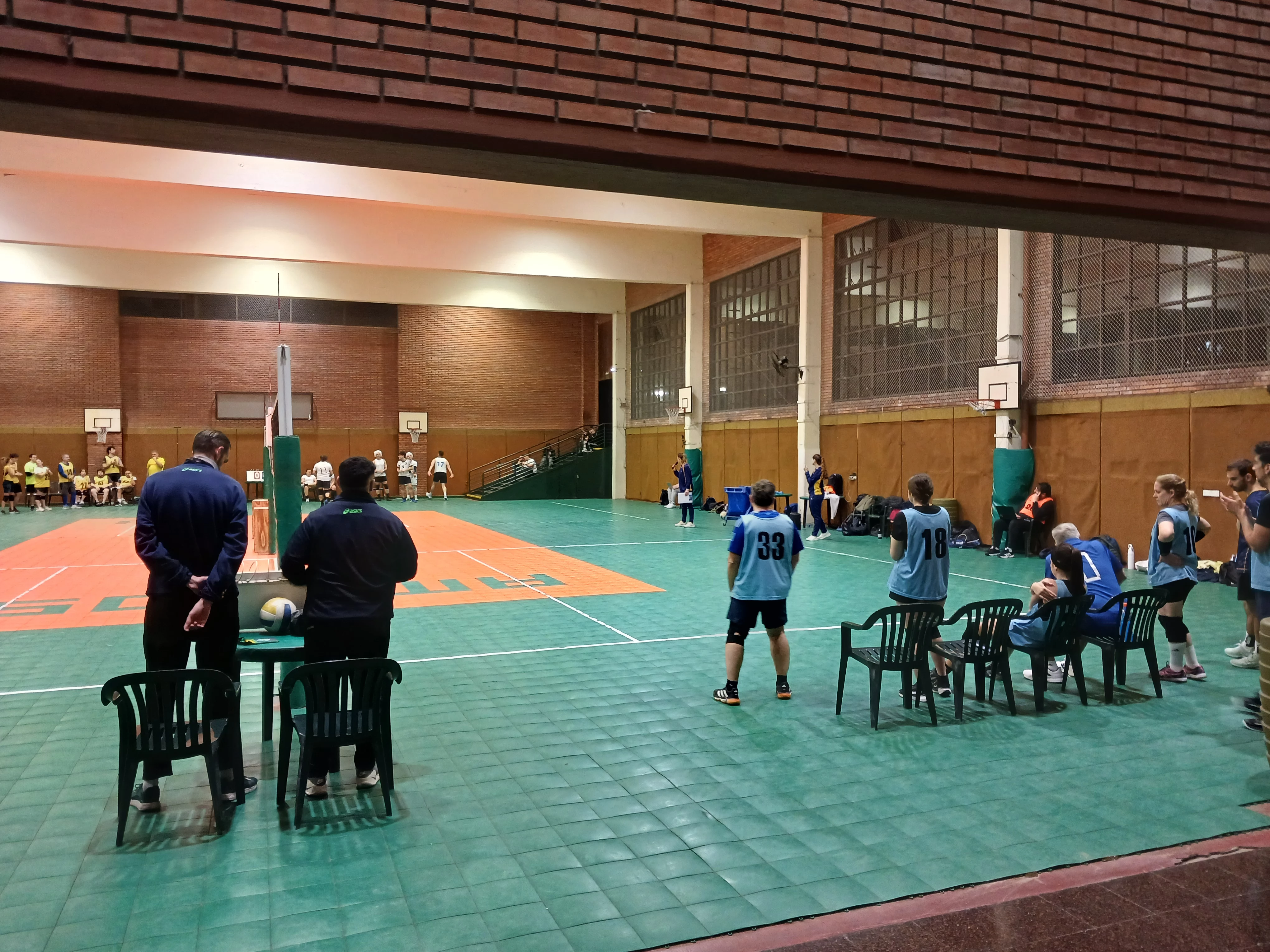 Voley