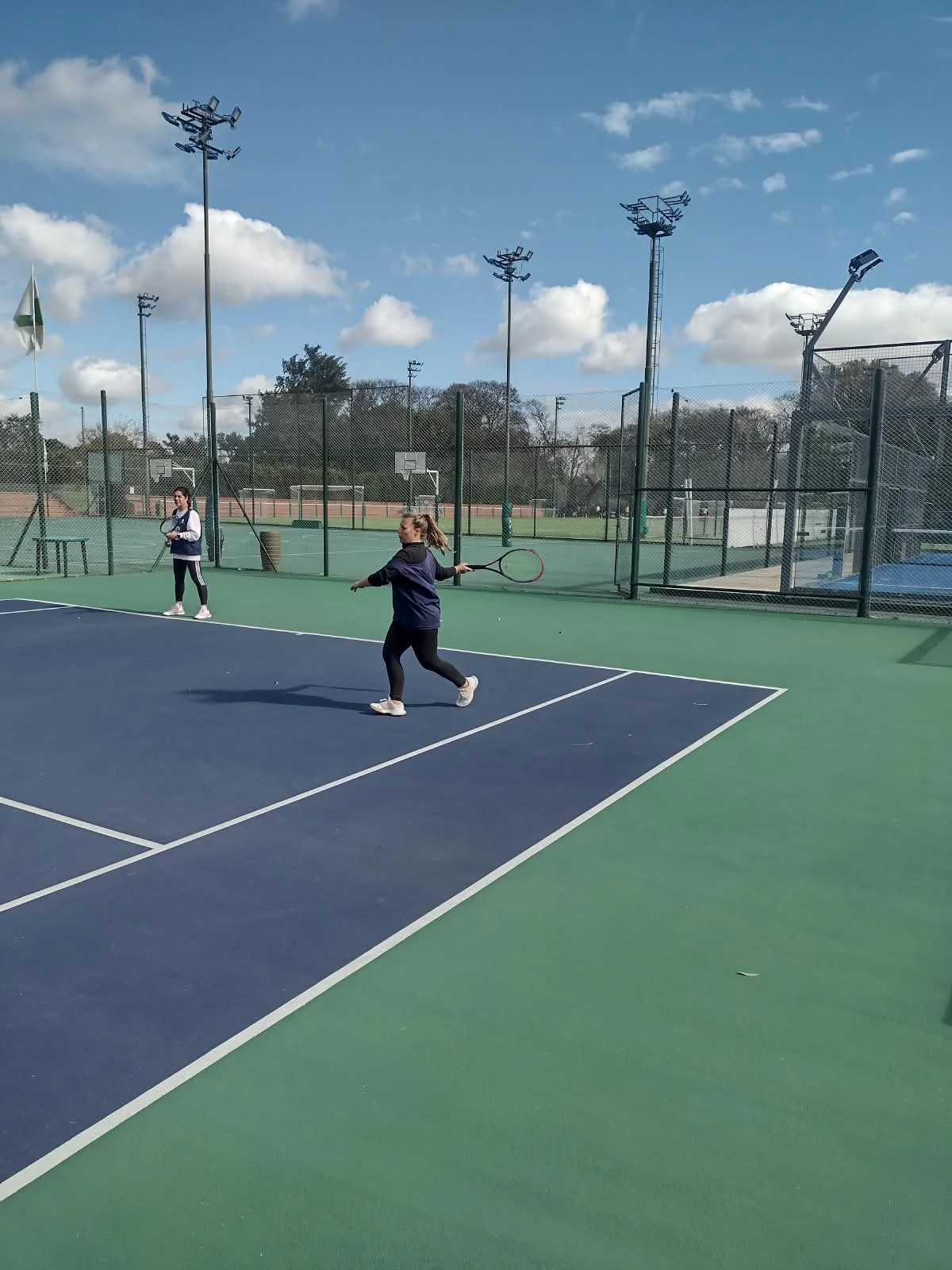 Tenis