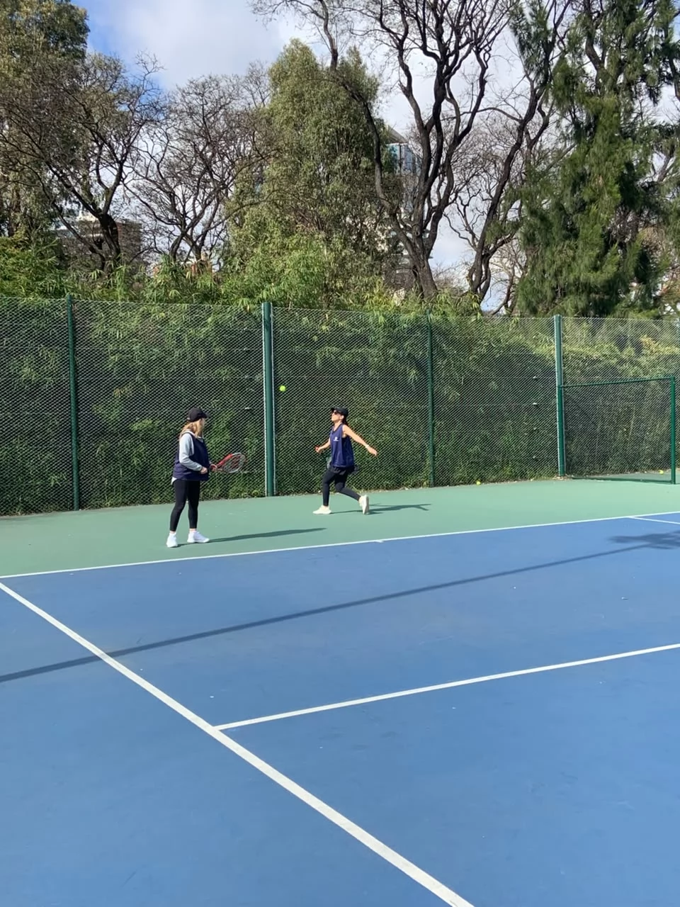 Tenis