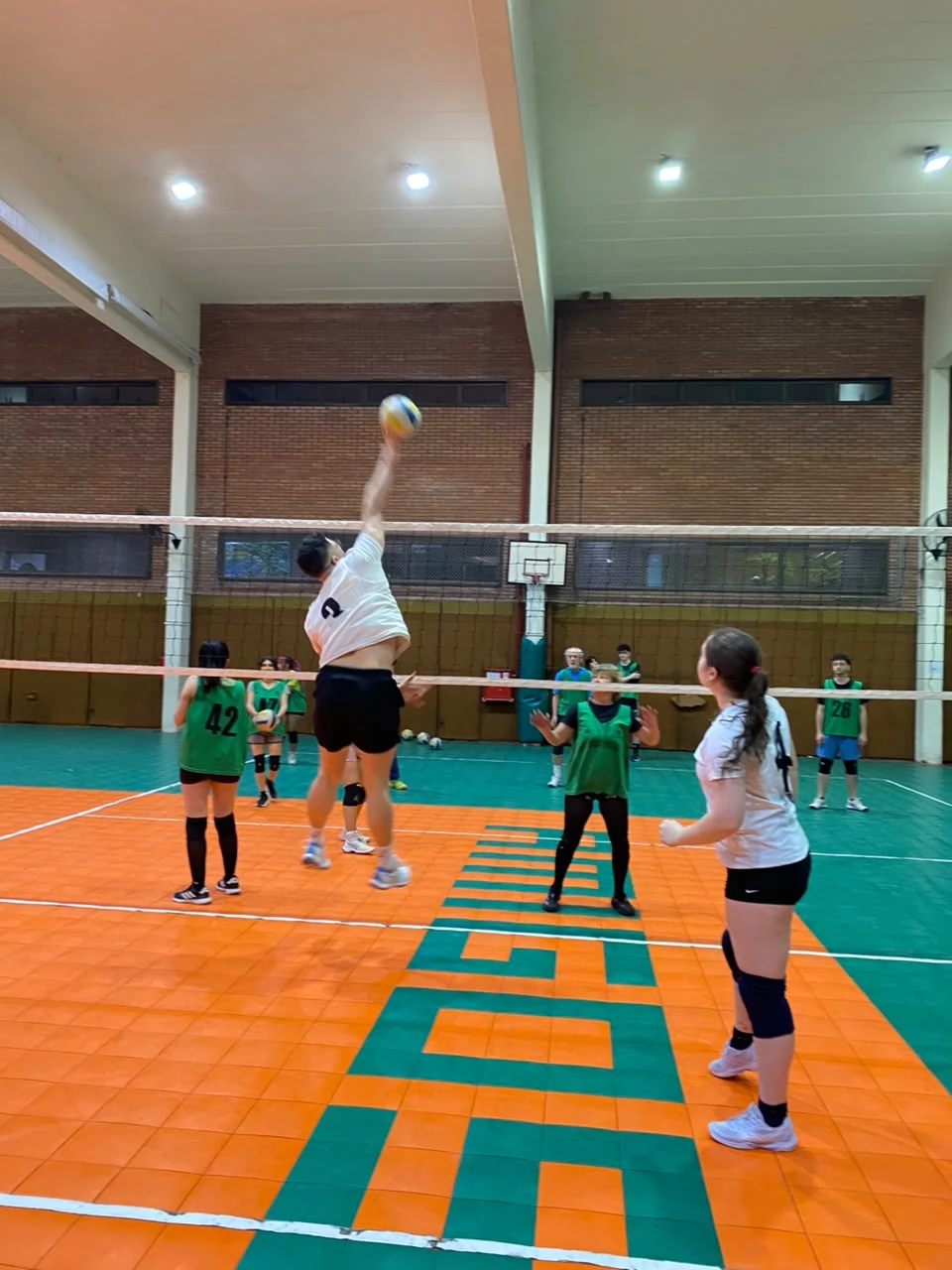 Voley