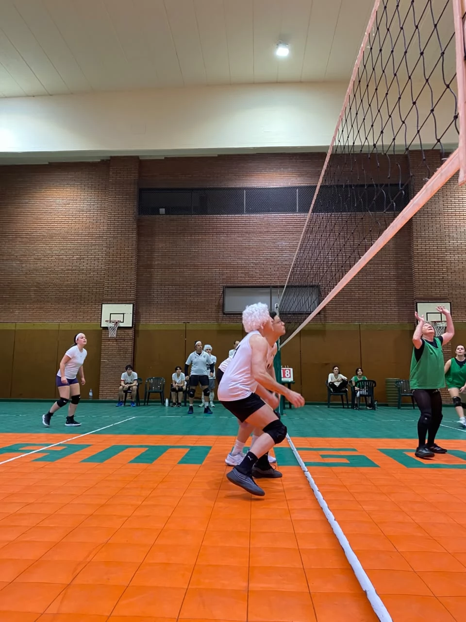 Voley