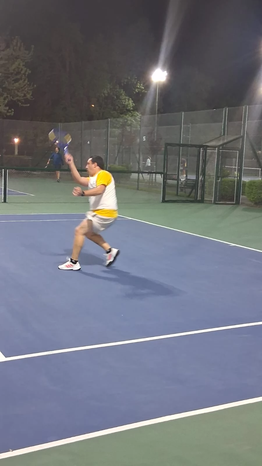Tenis