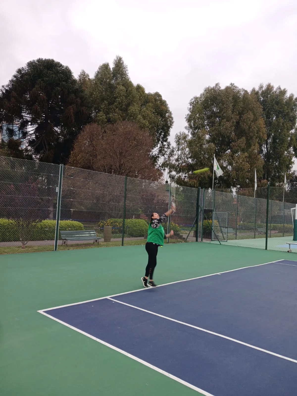 Tenis