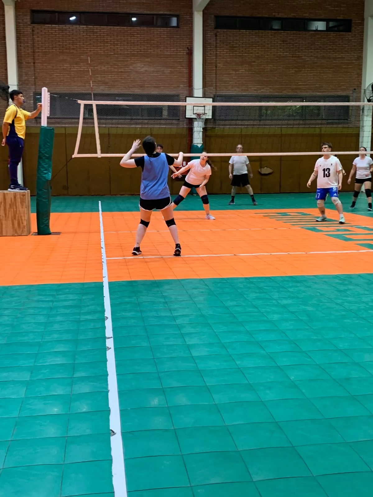 Voley