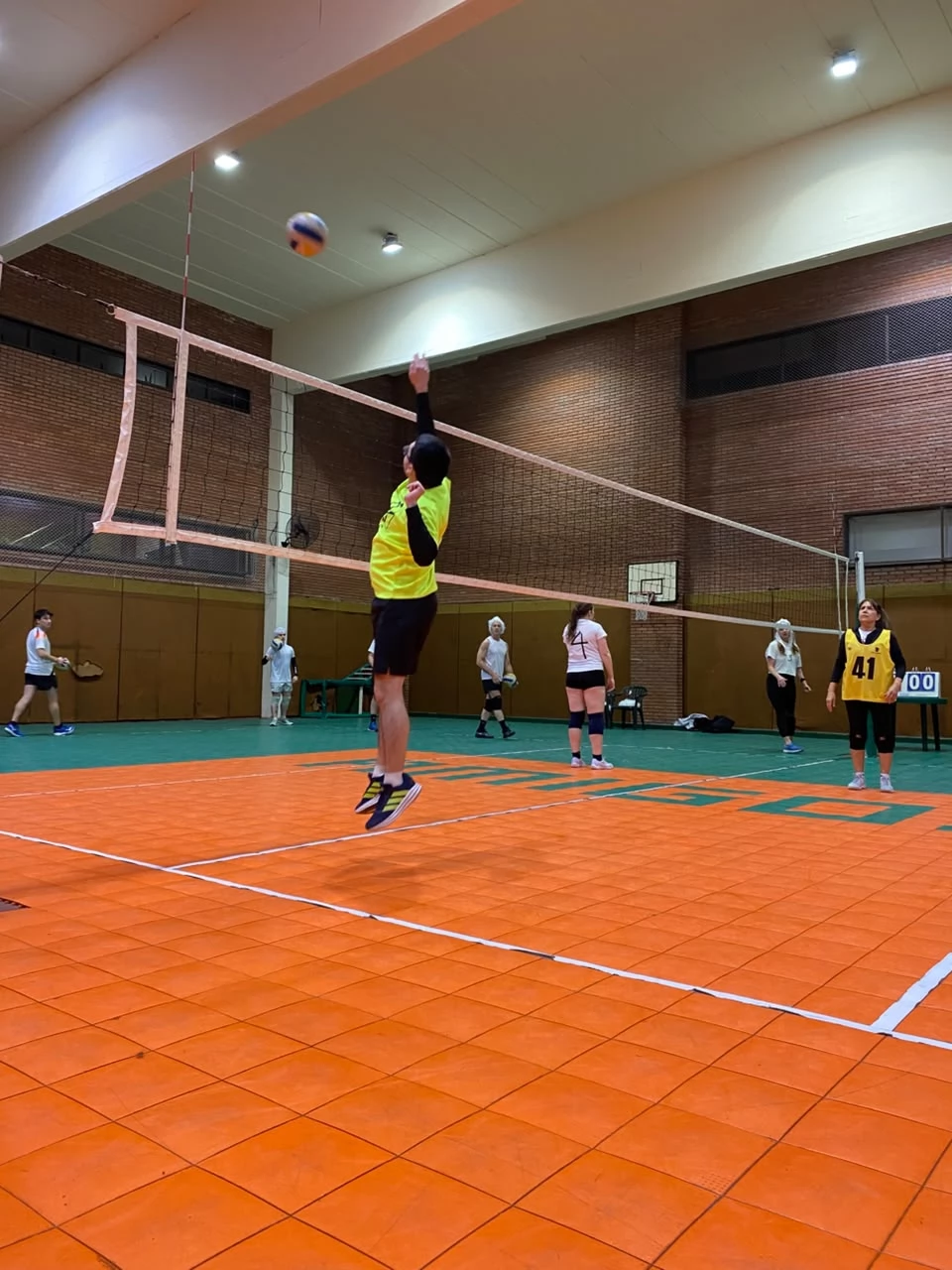 Voley