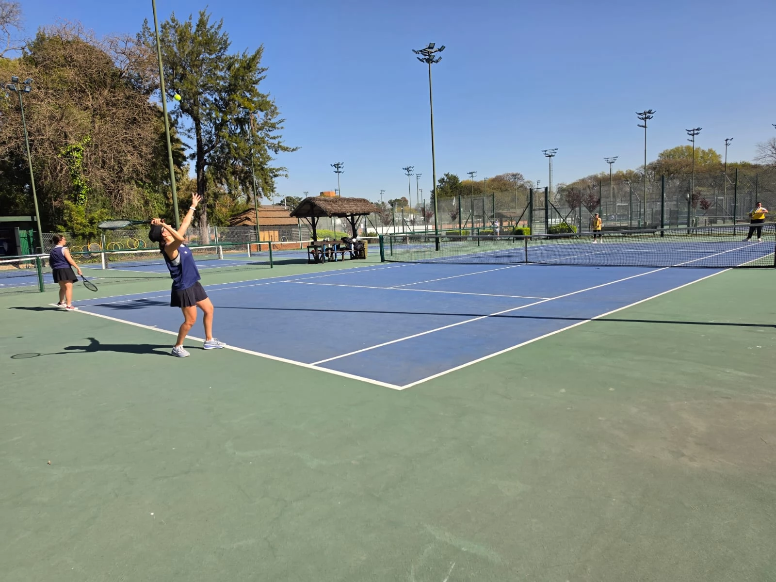 Tenis
