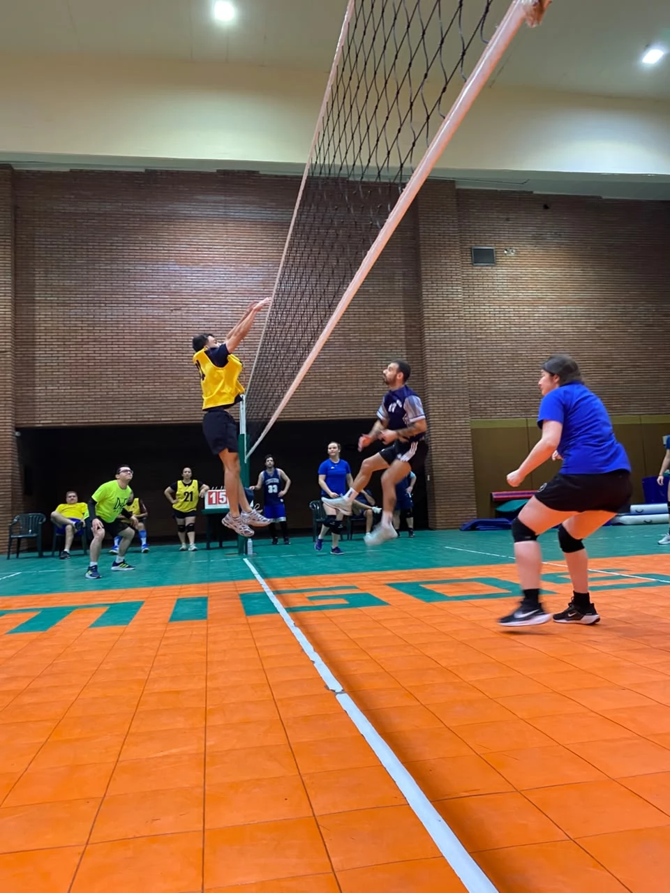 Voley