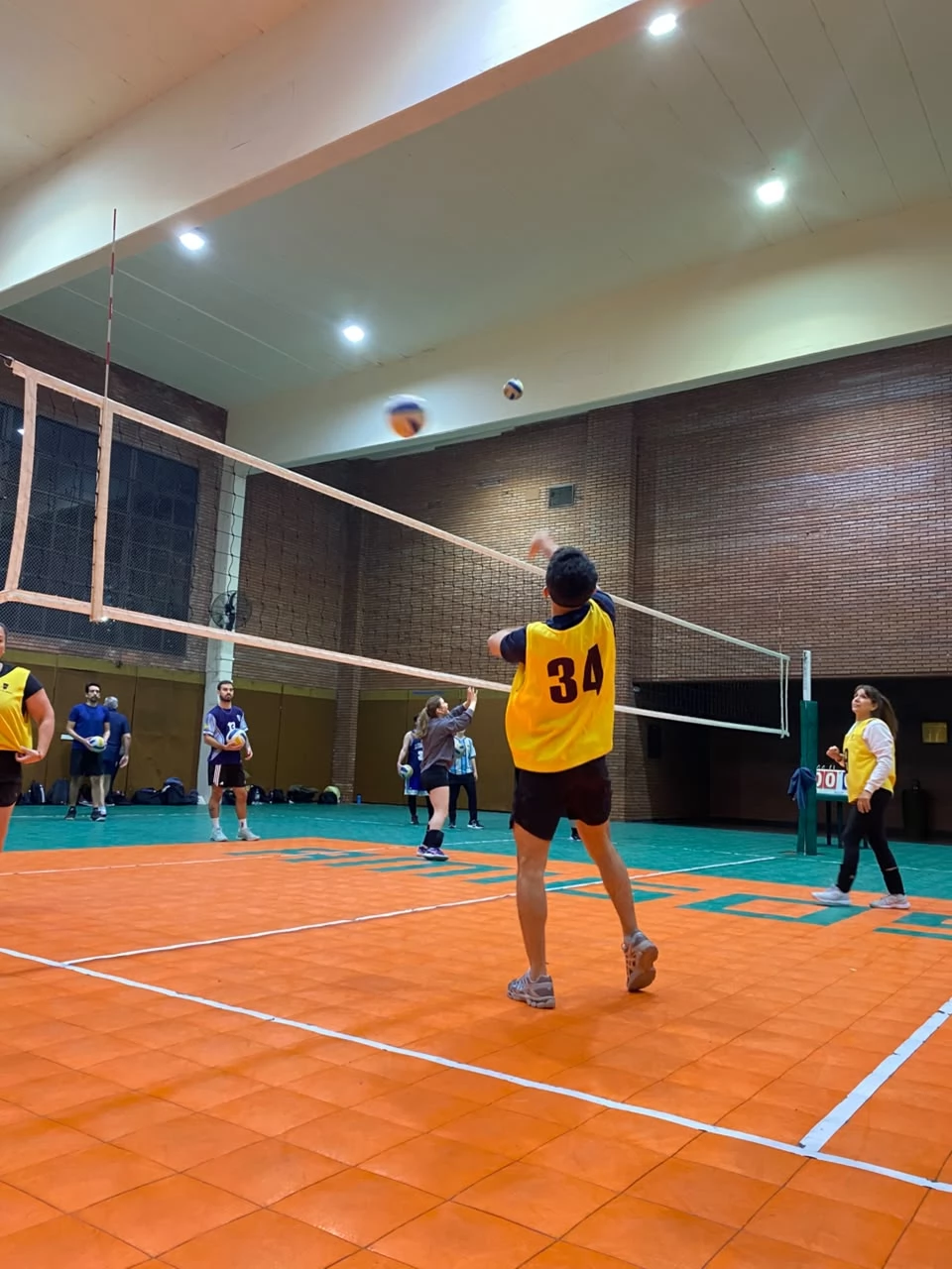 Voley