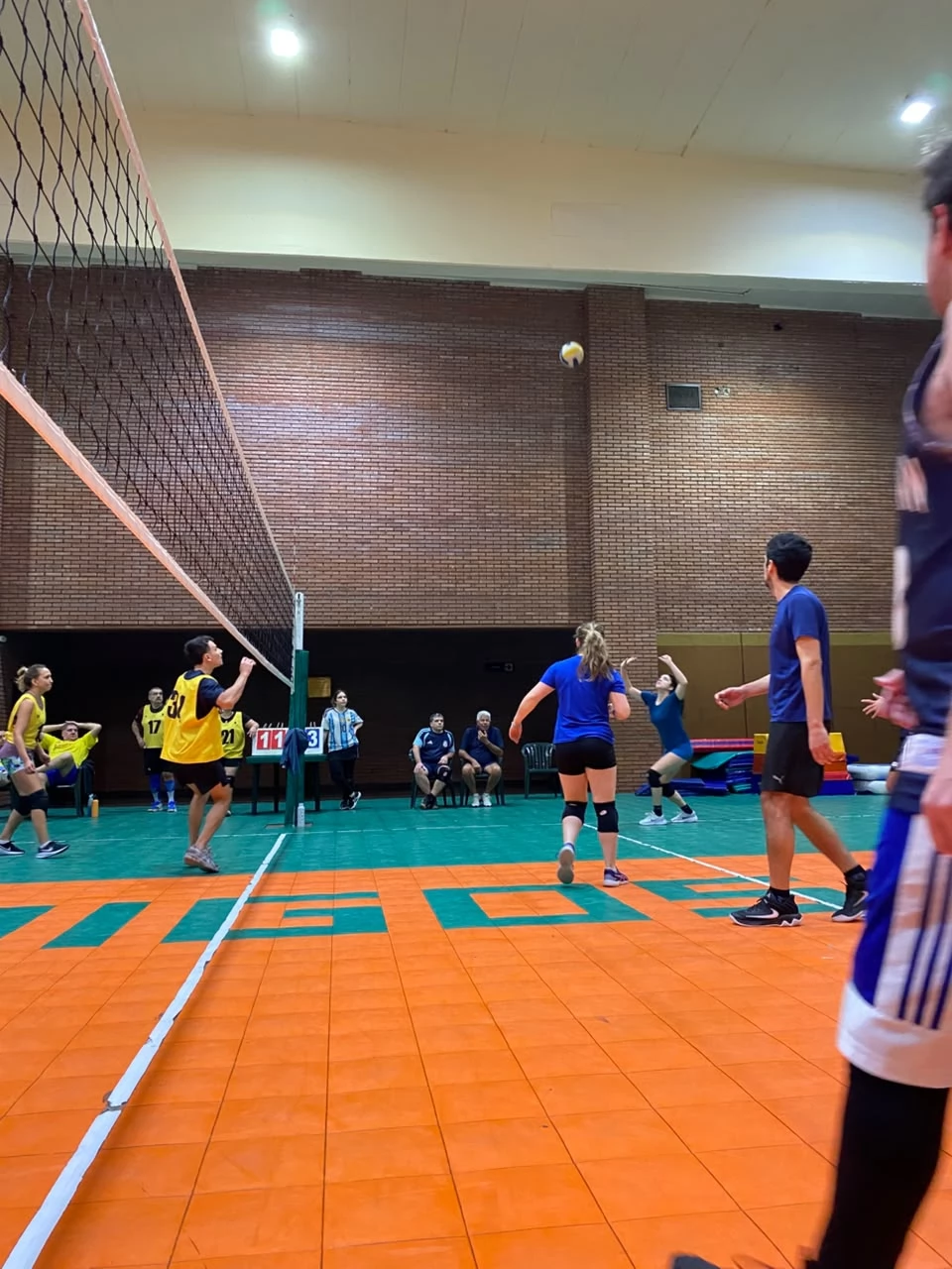 Voley