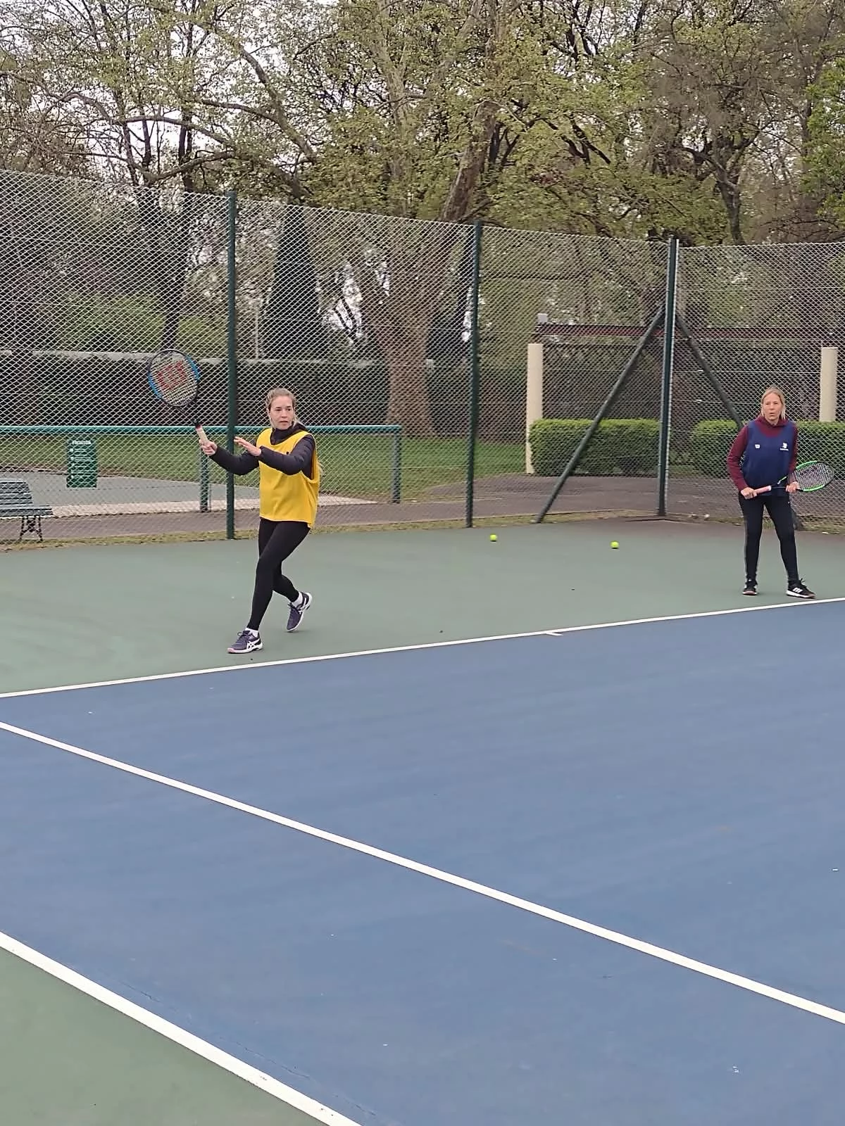 Tenis