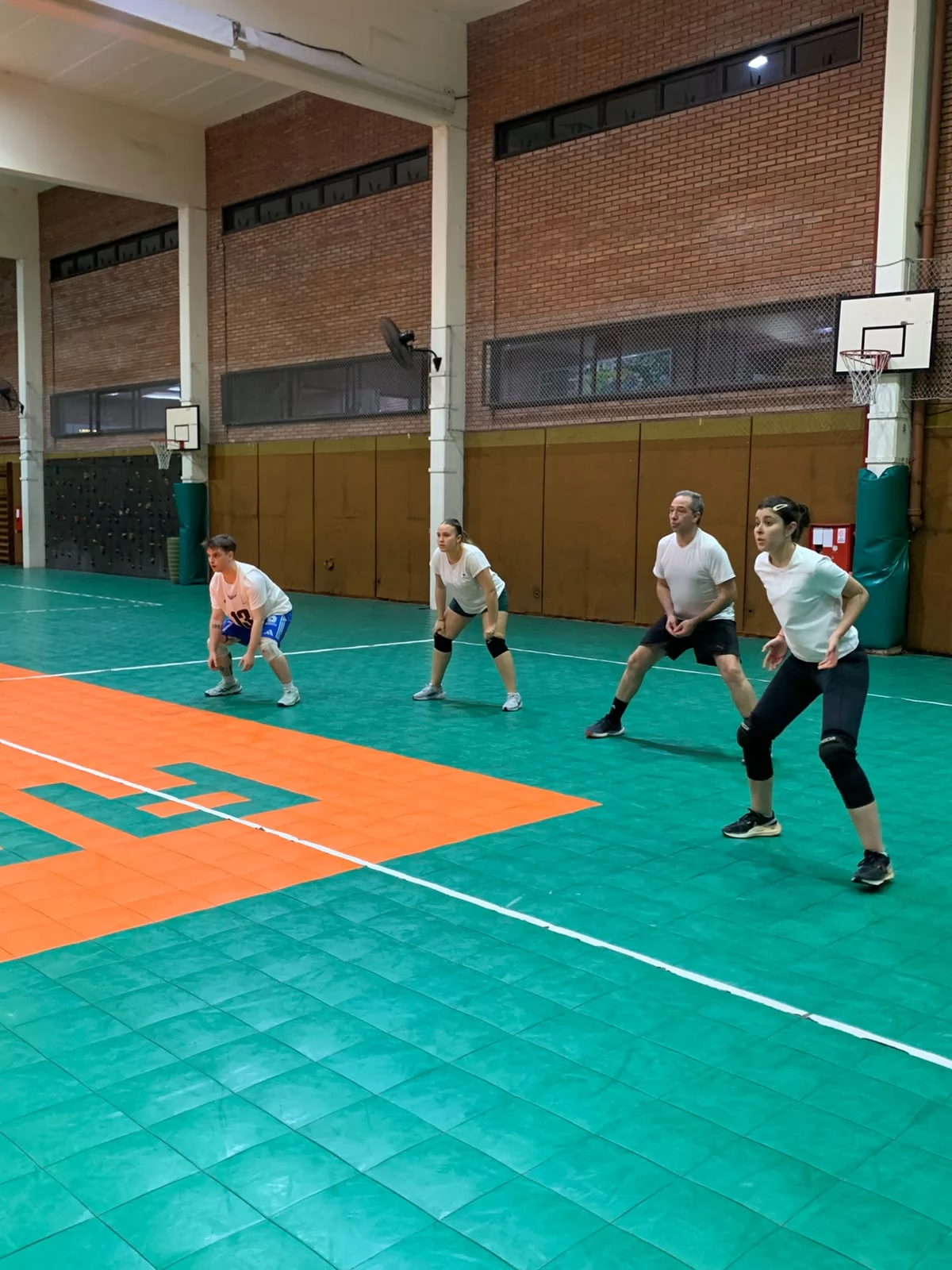 Voley
