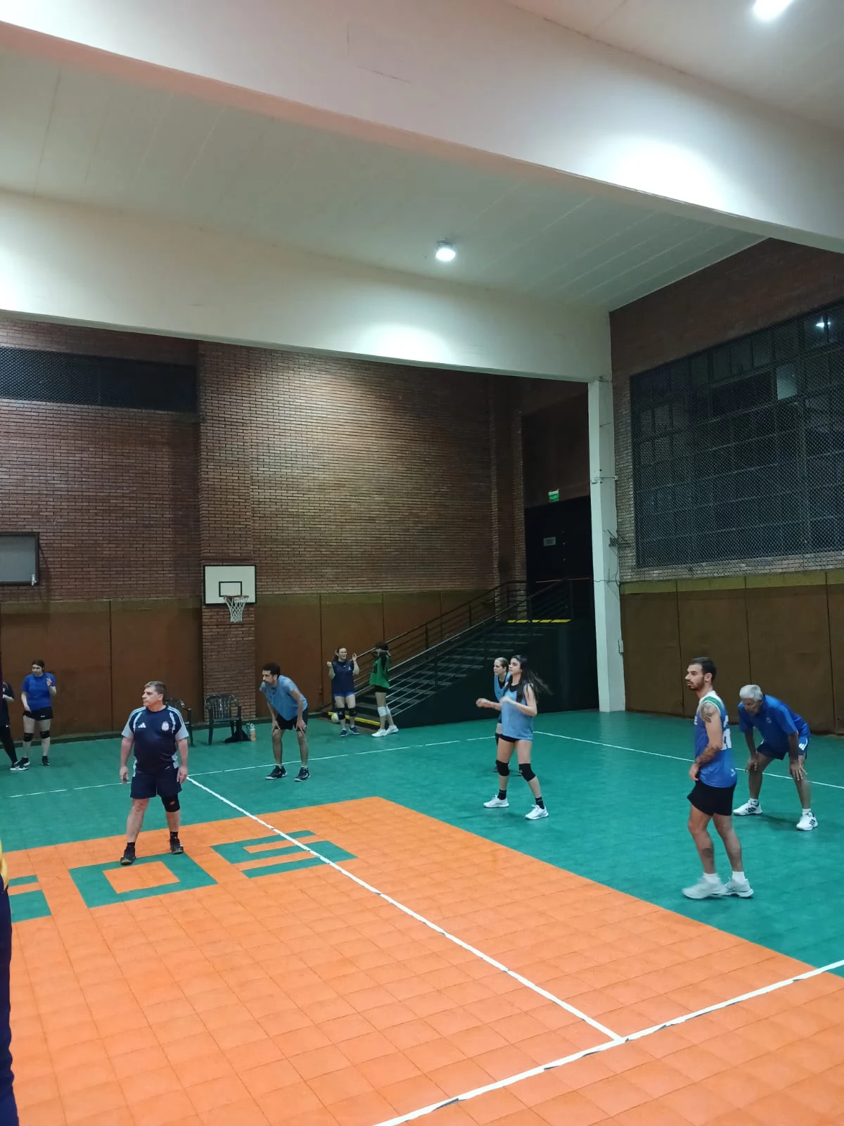 Voley