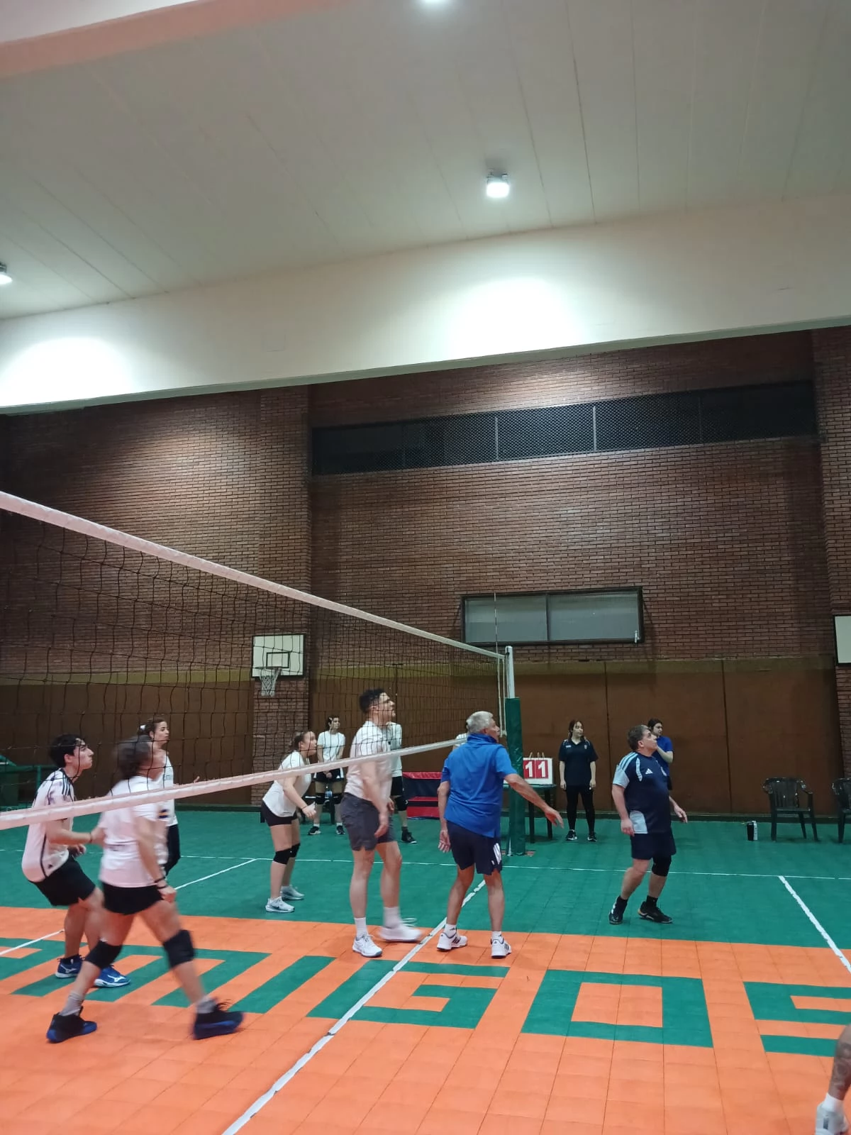 Voley
