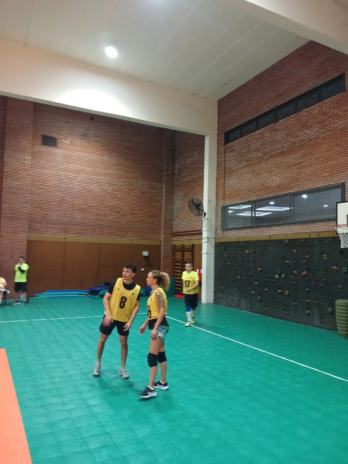 Voley