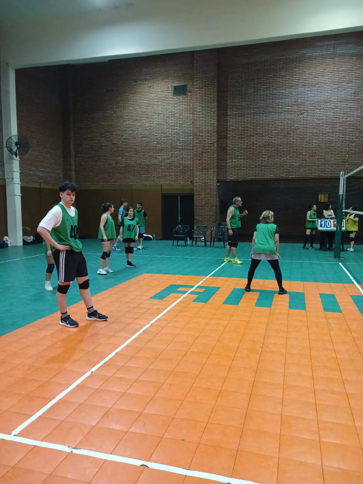 Voley