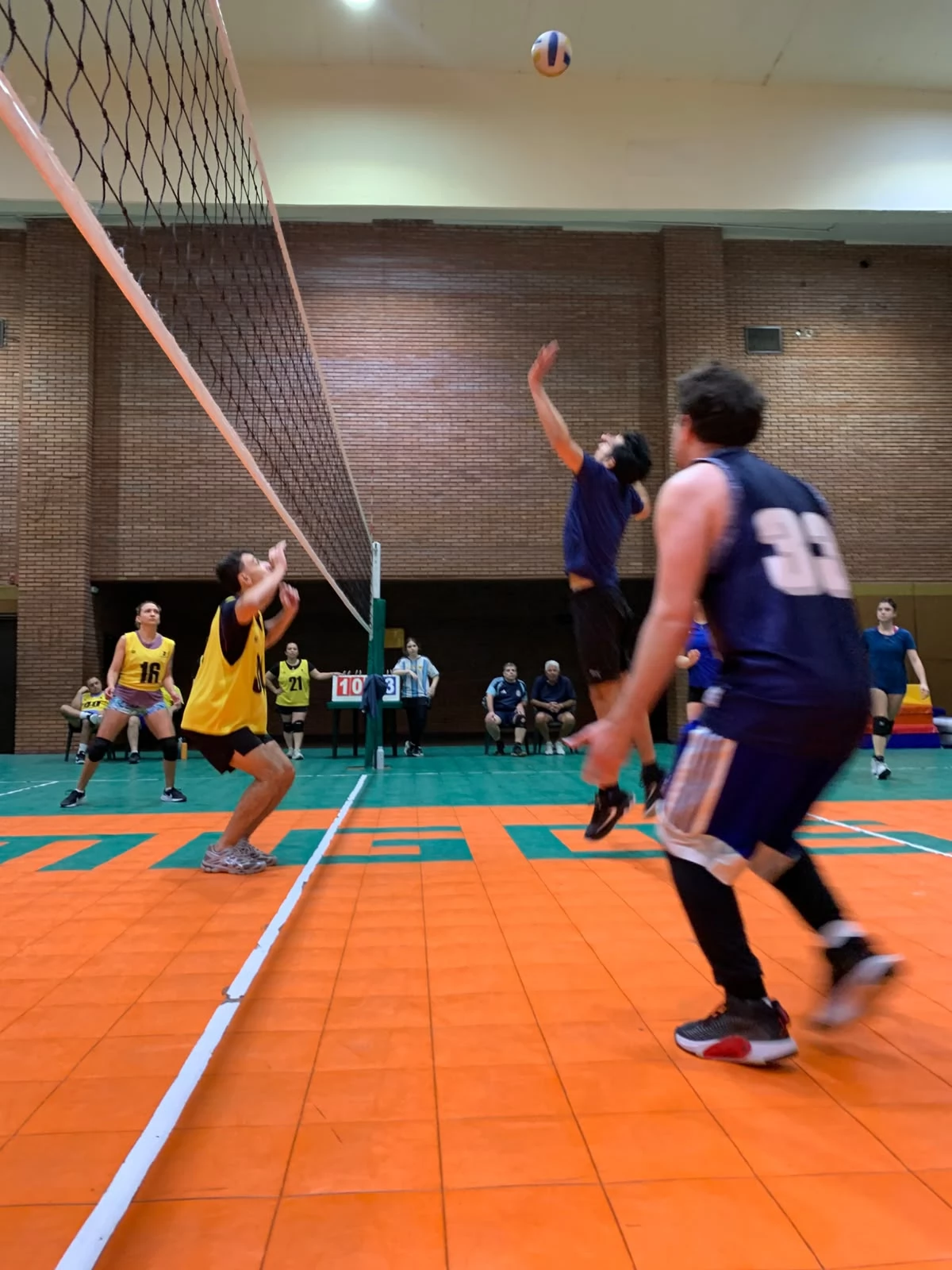 Voley