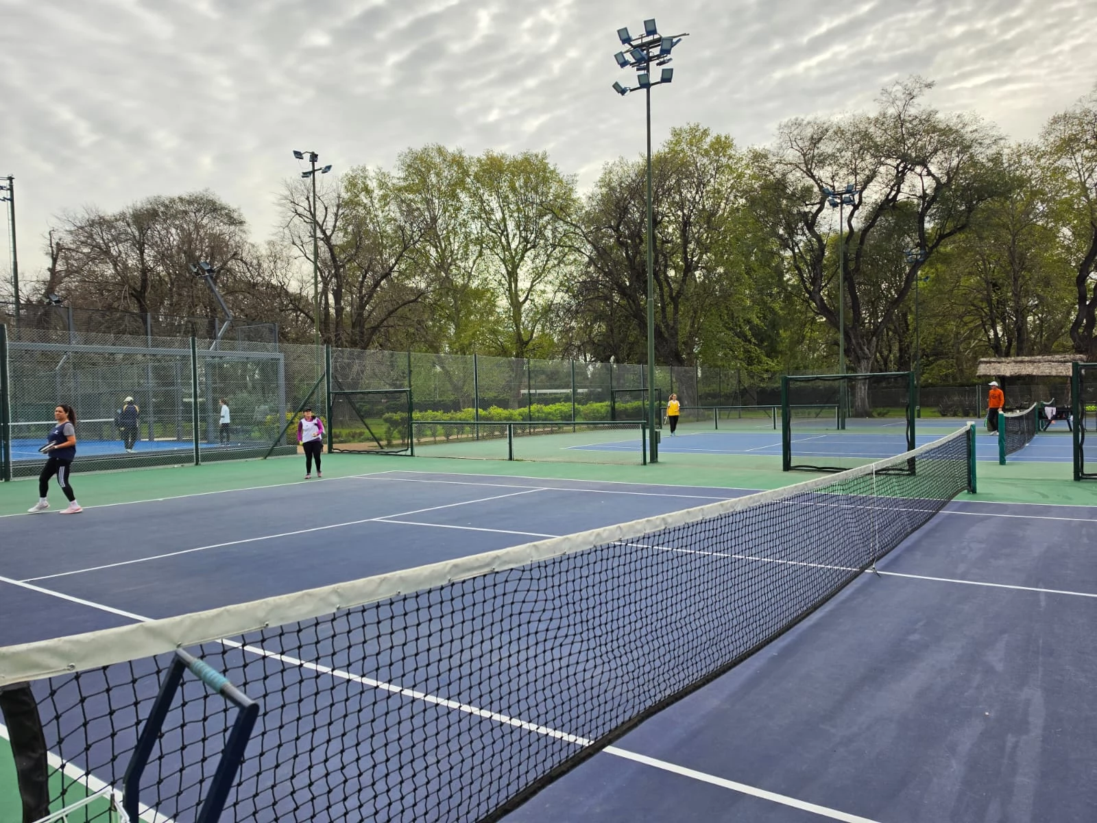 Tenis