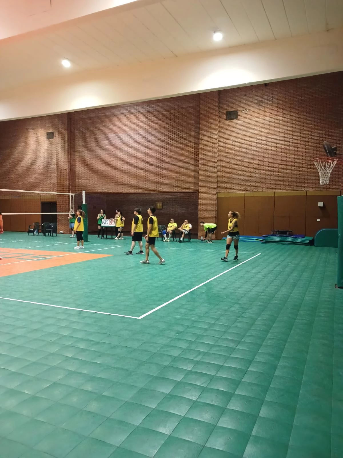 Voley