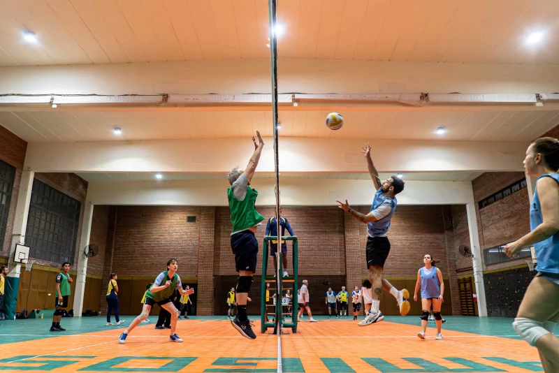 Voleibol